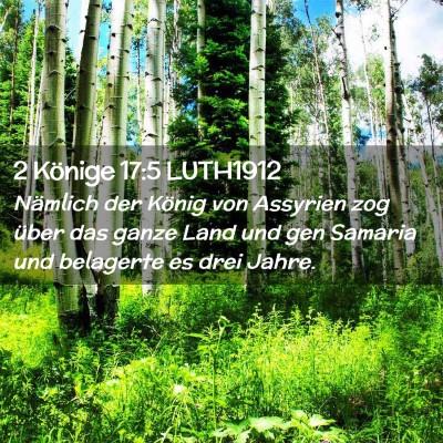 Picture 02 - 2 Könige 17:5 LUTH1912 - Nämlich der König von Assyrien zog über das - Bible Verse Picture