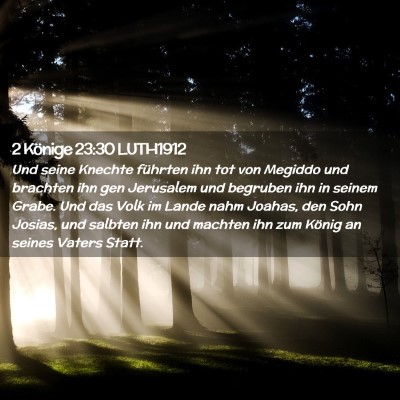 Picture 02 - 2 Könige 23:30 LUTH1912 - Und seine Knechte führten ihn tot von Megiddo - Bible Verse Picture