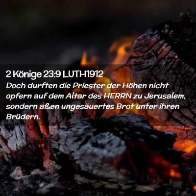 Picture 02 - 2 Könige 23:9 LUTH1912 - Doch durften die Priester der Höhen nicht opfern - Bible Verse Picture