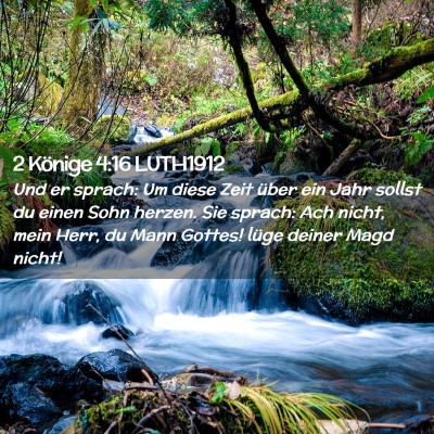 Picture 02 - 2 Könige 4:16 LUTH1912 - Und er sprach: Um diese Zeit über ein Jahr - Bible Verse Picture