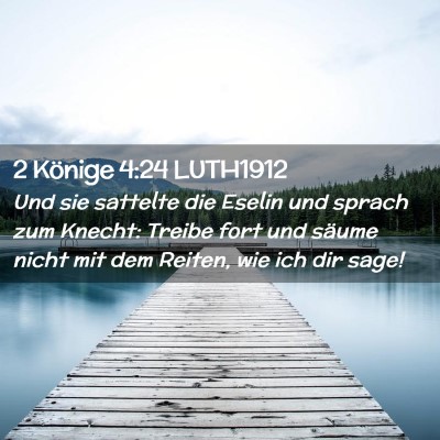 Picture 02 - 2 Könige 4:24 LUTH1912 - Und sie sattelte die Eselin und sprach zum - Bible Verse Picture