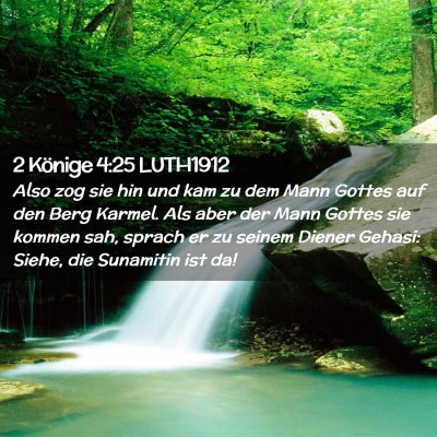 Picture 02 - 2 Könige 4:25 LUTH1912 - Also zog sie hin und kam zu dem Mann Gottes auf - Bible Verse Picture