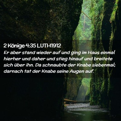 Picture 02 - 2 Könige 4:35 LUTH1912 - Er aber stand wieder auf und ging im Haus einmal - Bible Verse Picture