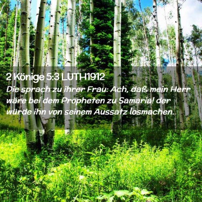Picture 02 - 2 Könige 5:3 LUTH1912 - Die sprach zu ihrer Frau: Ach, daß mein Herr - Bible Verse Picture