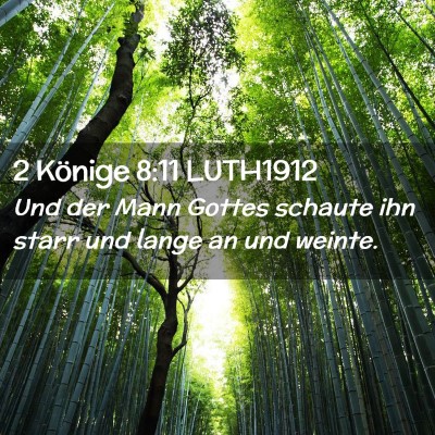 Picture 02 - 2 Könige 8:11 LUTH1912 - Und der Mann Gottes schaute ihn starr und lange - Bible Verse Picture