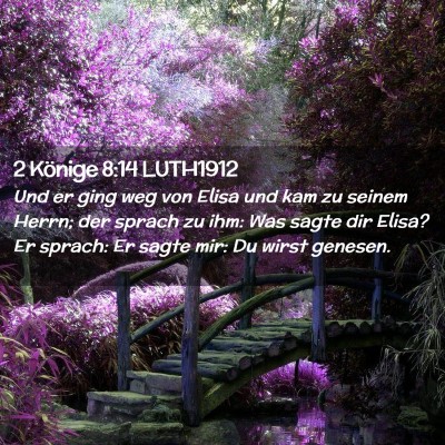 Picture 02 - 2 Könige 8:14 LUTH1912 - Und er ging weg von Elisa und kam zu seinem - Bible Verse Picture