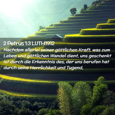Picture 02 - 2 Petrus 1:3 LUTH1912 - Nachdem allerlei seiner göttlichen Kraft, was - Bible Verse Picture