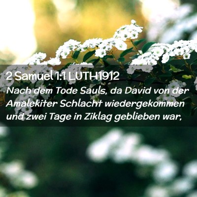 Picture 02 - 2 Samuel 1:1 LUTH1912 - Nach dem Tode Sauls, da David von der Amalekiter - Bible Verse Picture