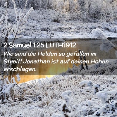 Picture 02 - 2 Samuel 1:25 LUTH1912 - Wie sind die Helden so gefallen im Streit! - Bible Verse Picture