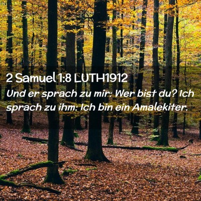 Picture 02 - 2 Samuel 1:8 LUTH1912 - Und er sprach zu mir: Wer bist du? Ich sprach zu - Bible Verse Picture
