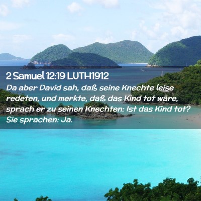Picture 02 - 2 Samuel 12:19 LUTH1912 - Da aber David sah, daß seine Knechte leise - Bible Verse Picture