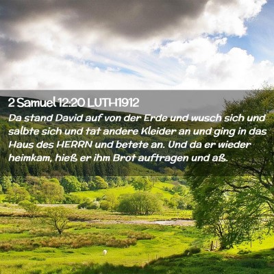 Picture 02 - 2 Samuel 12:20 LUTH1912 - Da stand David auf von der Erde und wusch sich - Bible Verse Picture