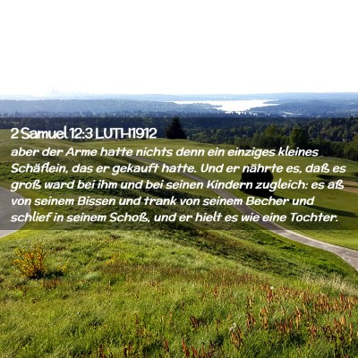 Picture 02 - 2 Samuel 12:3 LUTH1912 - aber der Arme hatte nichts denn ein einziges - Bible Verse Picture