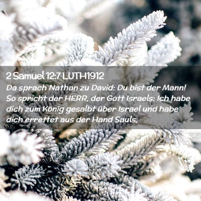 Picture 02 - 2 Samuel 12:7 LUTH1912 - Da sprach Nathan zu David: Du bist der Mann! So - Bible Verse Picture