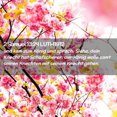 Picture 02 - 2 Samuel 13:24 LUTH1912 - und kam zum König und sprach: Siehe, dein Knecht - Bible Verse Picture