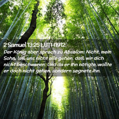 Picture 02 - 2 Samuel 13:25 LUTH1912 - Der König aber sprach zu Absalom: Nicht, mein - Bible Verse Picture