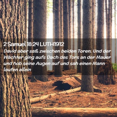 Picture 02 - 2 Samuel 18:24 LUTH1912 - David aber saß zwischen beiden Toren. Und der - Bible Verse Picture