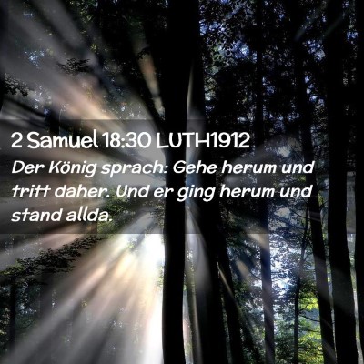 Picture 02 - 2 Samuel 18:30 LUTH1912 - Der König sprach: Gehe herum und tritt daher. - Bible Verse Picture