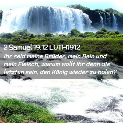 Picture 02 - 2 Samuel 19:12 LUTH1912 - Ihr seid meine Brüder, mein Bein und mein - Bible Verse Picture