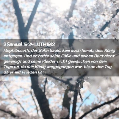 Picture 02 - 2 Samuel 19:24 LUTH1912 - Mephiboseth, der Sohn Sauls, kam auch herab, dem - Bible Verse Picture
