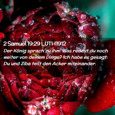 Picture 02 - 2 Samuel 19:29 LUTH1912 - Der König sprach zu ihm: Was redest du noch - Bible Verse Picture