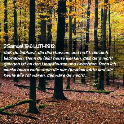 Picture 02 - 2 Samuel 19:6 LUTH1912 - daß du liebhast, die dich hassen, und haßt, die - Bible Verse Picture