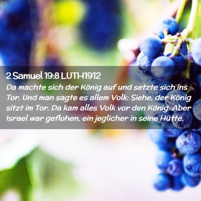 Picture 02 - 2 Samuel 19:8 LUTH1912 - Da machte sich der König auf und setzte sich ins - Bible Verse Picture
