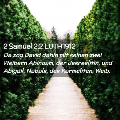Picture 02 - 2 Samuel 2:2 LUTH1912 - Da zog David dahin mit seinen zwei Weibern - Bible Verse Picture