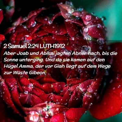 Picture 02 - 2 Samuel 2:24 LUTH1912 - Aber Joab und Abisai jagten Abner nach, bis die - Bible Verse Picture