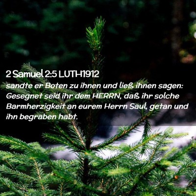 Picture 02 - 2 Samuel 2:5 LUTH1912 - sandte er Boten zu ihnen und ließ ihnen sagen: - Bible Verse Picture