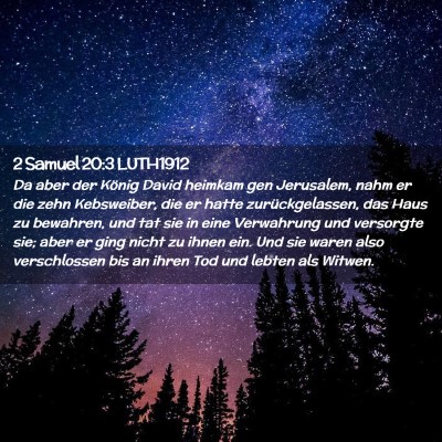 Picture 02 - 2 Samuel 20:3 LUTH1912 - Da aber der König David heimkam gen Jerusalem, - Bible Verse Picture