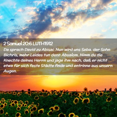Picture 02 - 2 Samuel 20:6 LUTH1912 - Da sprach David zu Abisai: Nun wird uns Seba, der - Bible Verse Picture