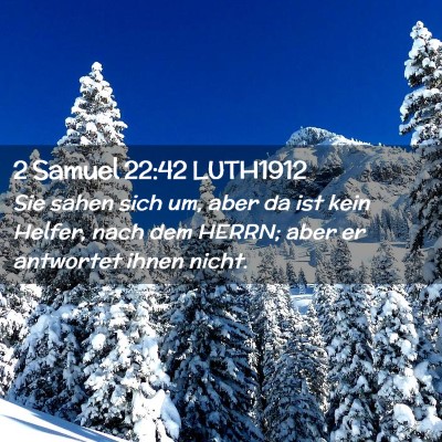 Picture 02 - 2 Samuel 22:42 LUTH1912 - Sie sahen sich um, aber da ist kein Helfer, nach - Bible Verse Picture