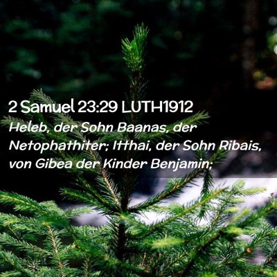 Picture 02 - 2 Samuel 23:29 LUTH1912 - Heleb, der Sohn Baanas, der Netophathiter; - Bible Verse Picture