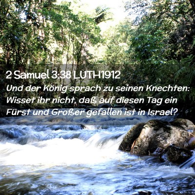 Picture 02 - 2 Samuel 3:38 LUTH1912 - Und der König sprach zu seinen Knechten: Wisset - Bible Verse Picture