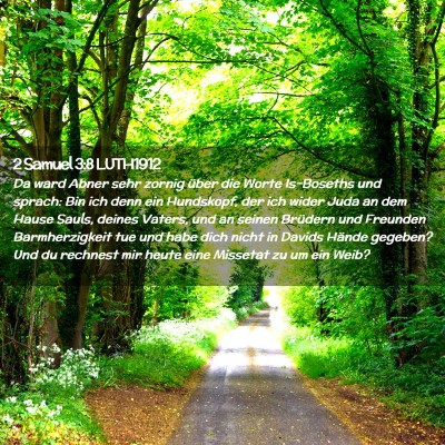 Picture 02 - 2 Samuel 3:8 LUTH1912 - Da ward Abner sehr zornig über die Worte - Bible Verse Picture