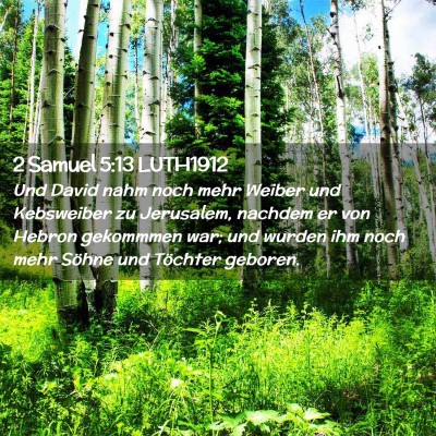 Picture 02 - 2 Samuel 5:13 LUTH1912 - Und David nahm noch mehr Weiber und Kebsweiber zu - Bible Verse Picture