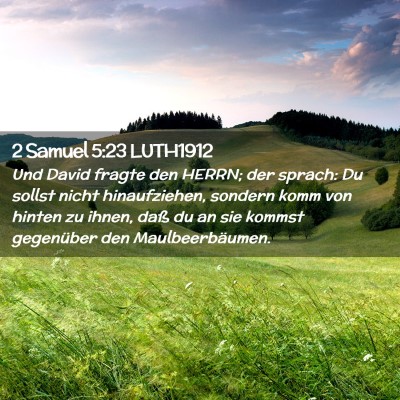 Picture 02 - 2 Samuel 5:23 LUTH1912 - Und David fragte den HERRN; der sprach: Du sollst - Bible Verse Picture