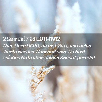 Picture 02 - 2 Samuel 7:28 LUTH1912 - Nun, Herr HERR, du bist Gott, und deine Worte - Bible Verse Picture
