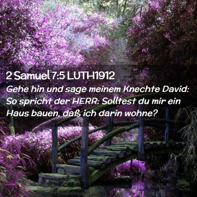 Picture 02 - 2 Samuel 7:5 LUTH1912 - Gehe hin und sage meinem Knechte David: So - Bible Verse Picture