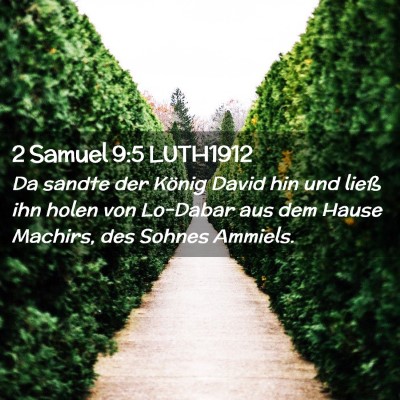 Picture 02 - 2 Samuel 9:5 LUTH1912 - Da sandte der König David hin und ließ ihn - Bible Verse Picture