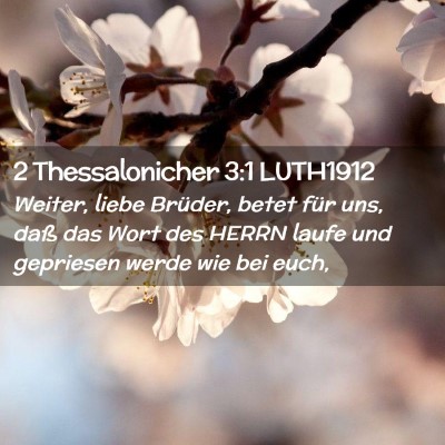 Picture 02 - 2 Thessalonicher 3:1 LUTH1912 - Weiter, liebe Brüder, betet für uns, daß das - Bible Verse Picture