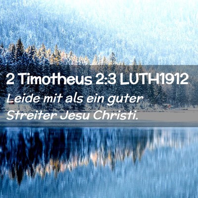 Picture 02 - 2 Timotheus 2:3 LUTH1912 - Leide mit als ein guter Streiter Jesu - Bible Verse Picture