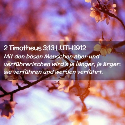 Picture 02 - 2 Timotheus 3:13 LUTH1912 - Mit den bösen Menschen aber und verführerischen - Bible Verse Picture