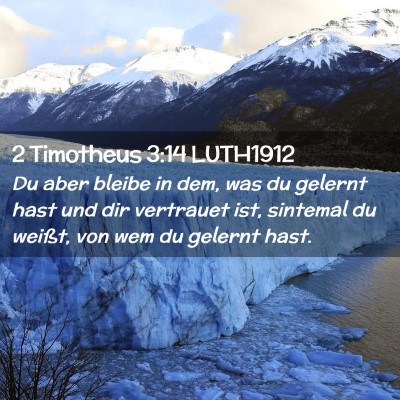 Picture 02 - 2 Timotheus 3:14 LUTH1912 - Du aber bleibe in dem, was du gelernt hast und - Bible Verse Picture