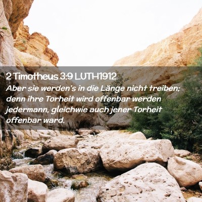 Picture 02 - 2 Timotheus 3:9 LUTH1912 - Aber sie werden's in die Länge nicht treiben; - Bible Verse Picture