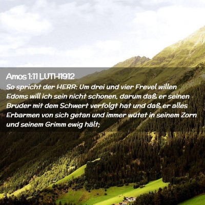 Picture 02 - Amos 1:11 LUTH1912 - So spricht der HERR: Um drei und vier Frevel - Bible Verse Picture