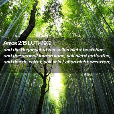 Picture 02 - Amos 2:15 LUTH1912 - und die Bogenschützen sollen nicht bestehen, und - Bible Verse Picture