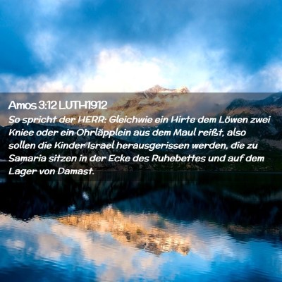 Picture 02 - Amos 3:12 LUTH1912 - So spricht der HERR: Gleichwie ein Hirte dem - Bible Verse Picture