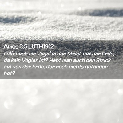 Picture 02 - Amos 3:5 LUTH1912 - Fällt auch ein Vogel in den Strick auf der Erde, - Bible Verse Picture